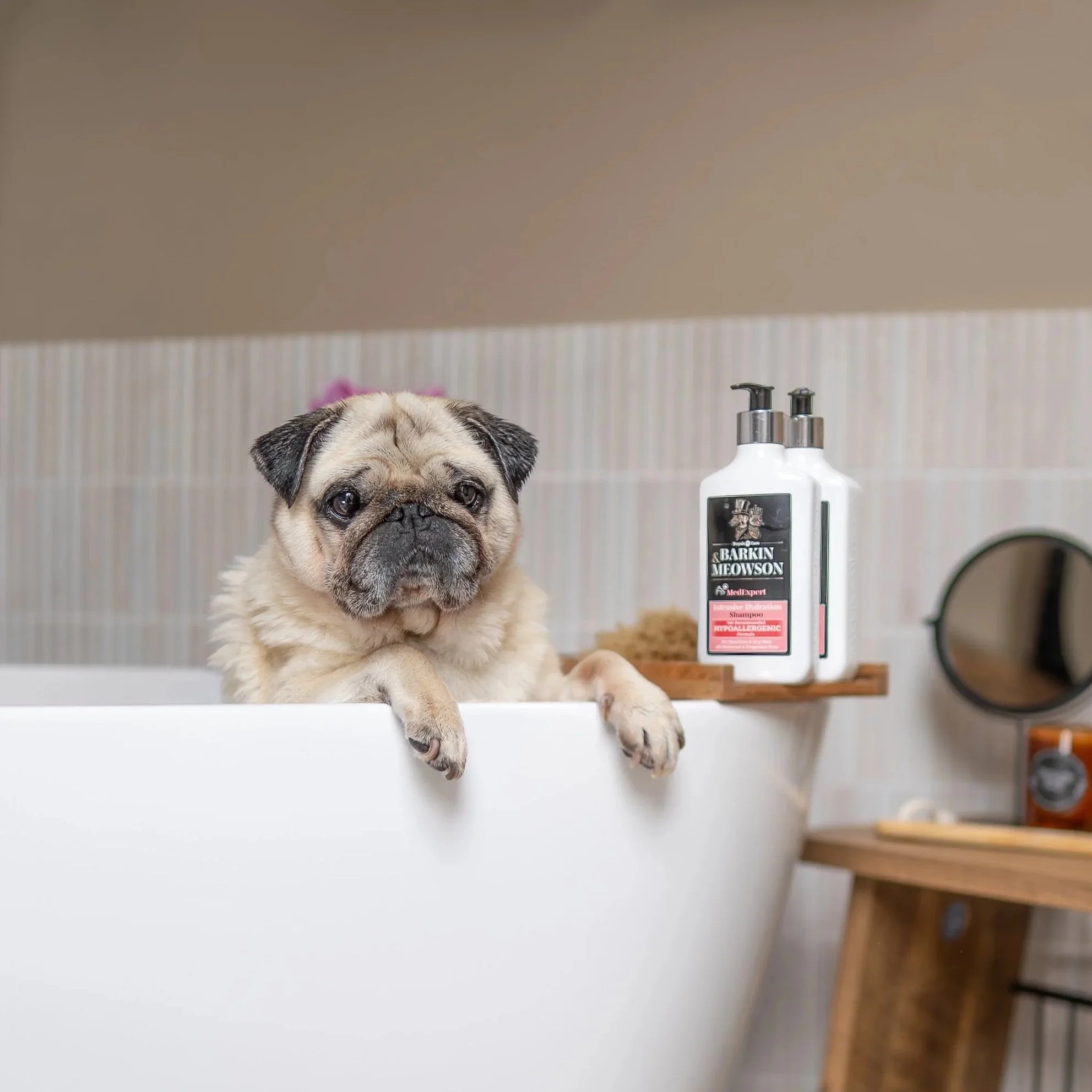 Give your pet the royal treatment with incredible grooming care from Barkin &amp; Meowson.