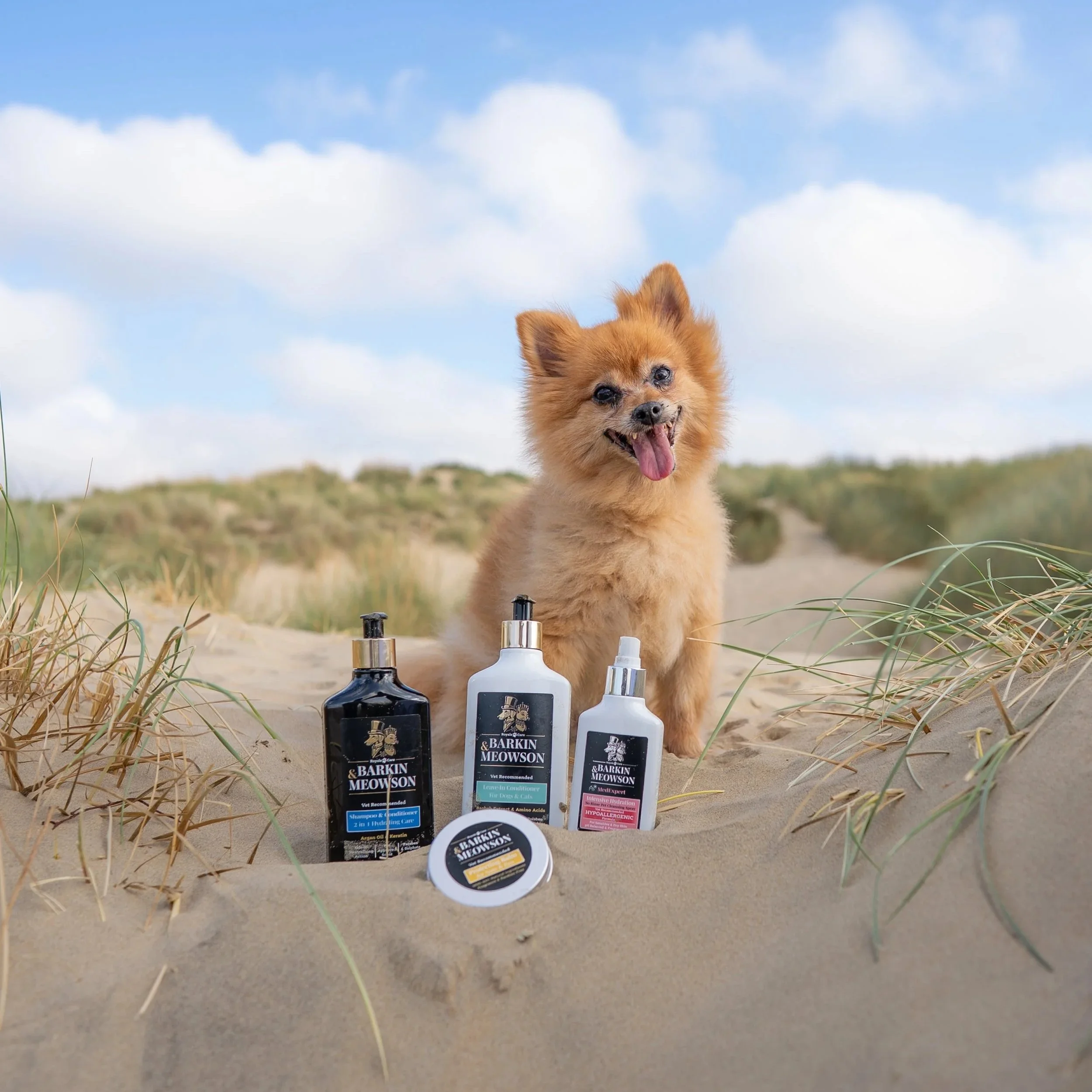 Luxurious Essentials to protect, soothe and nourish your pooch all Summer long!