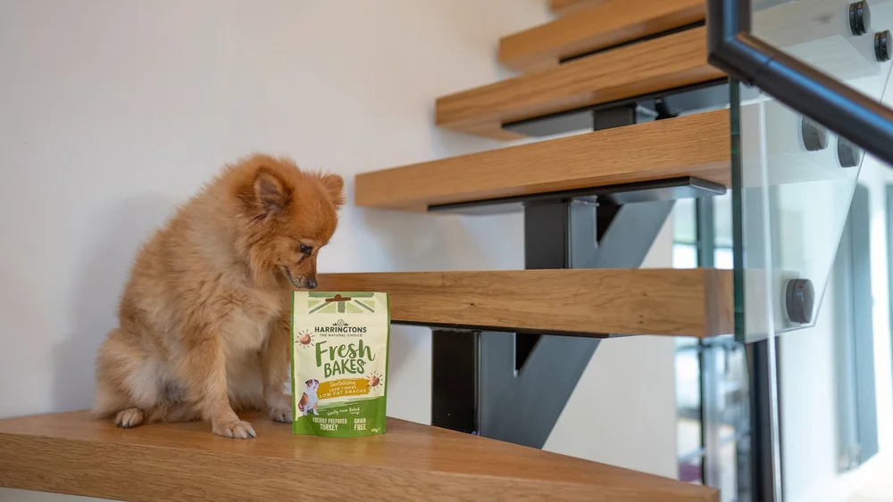 Harringtons Fresh Bakes dog treat review — instadoggo