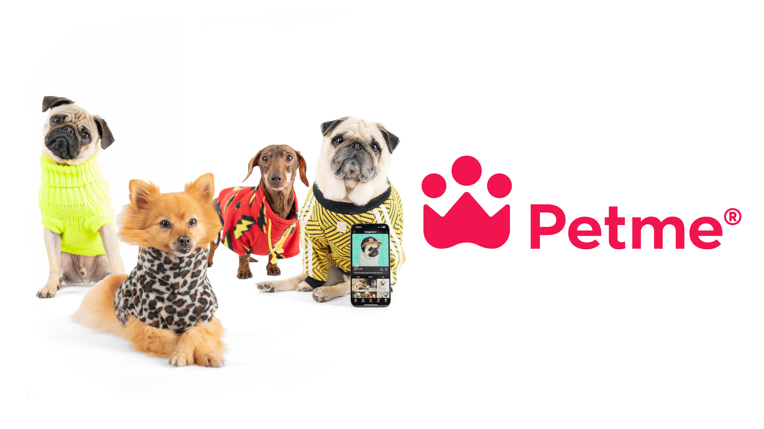 petme social network for pets review — instadoggo