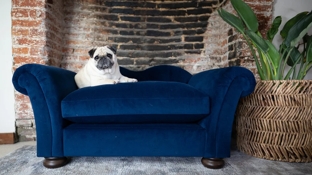 Joules Windsor Sofa Dfs