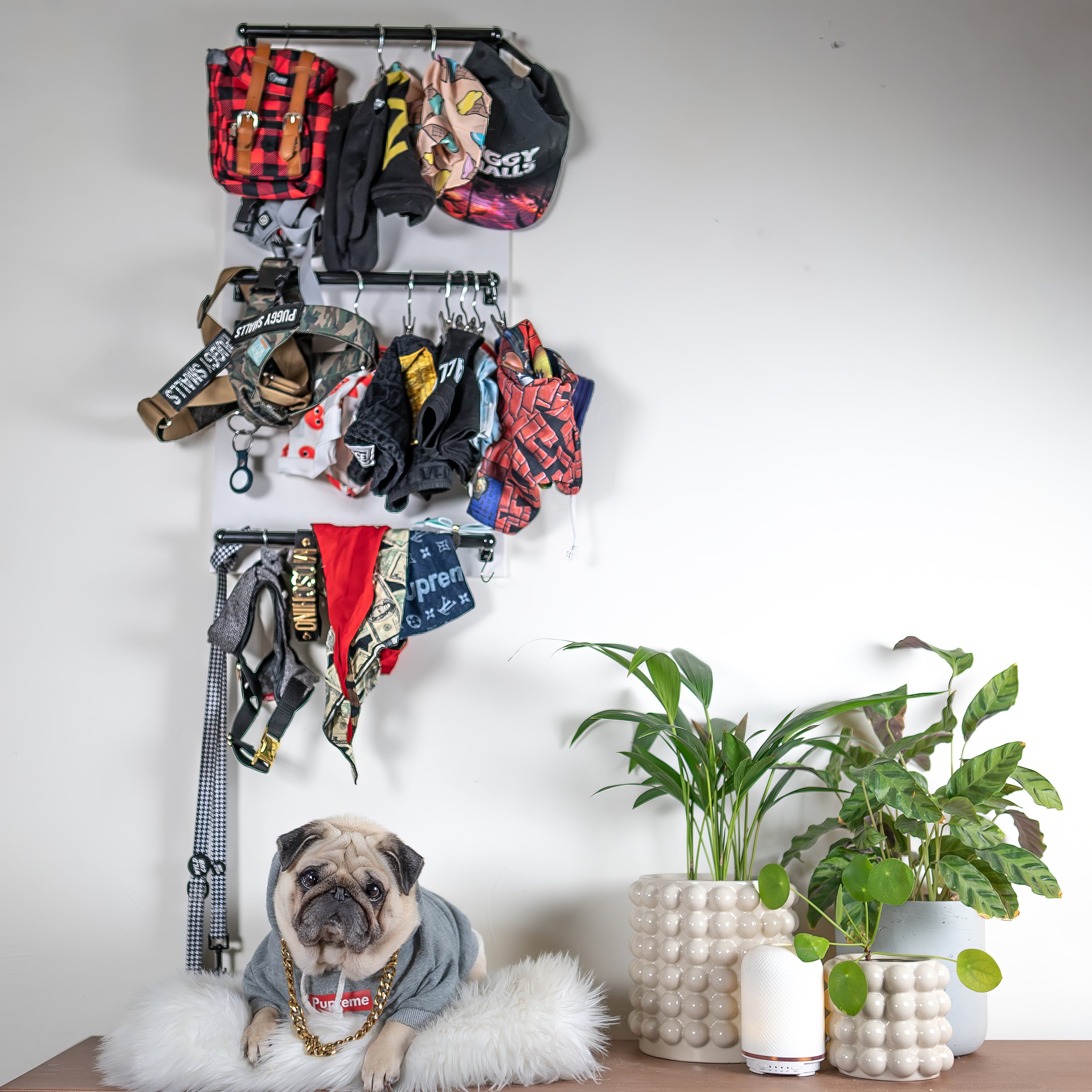15 DIY Doggy Clothes & Bandanas