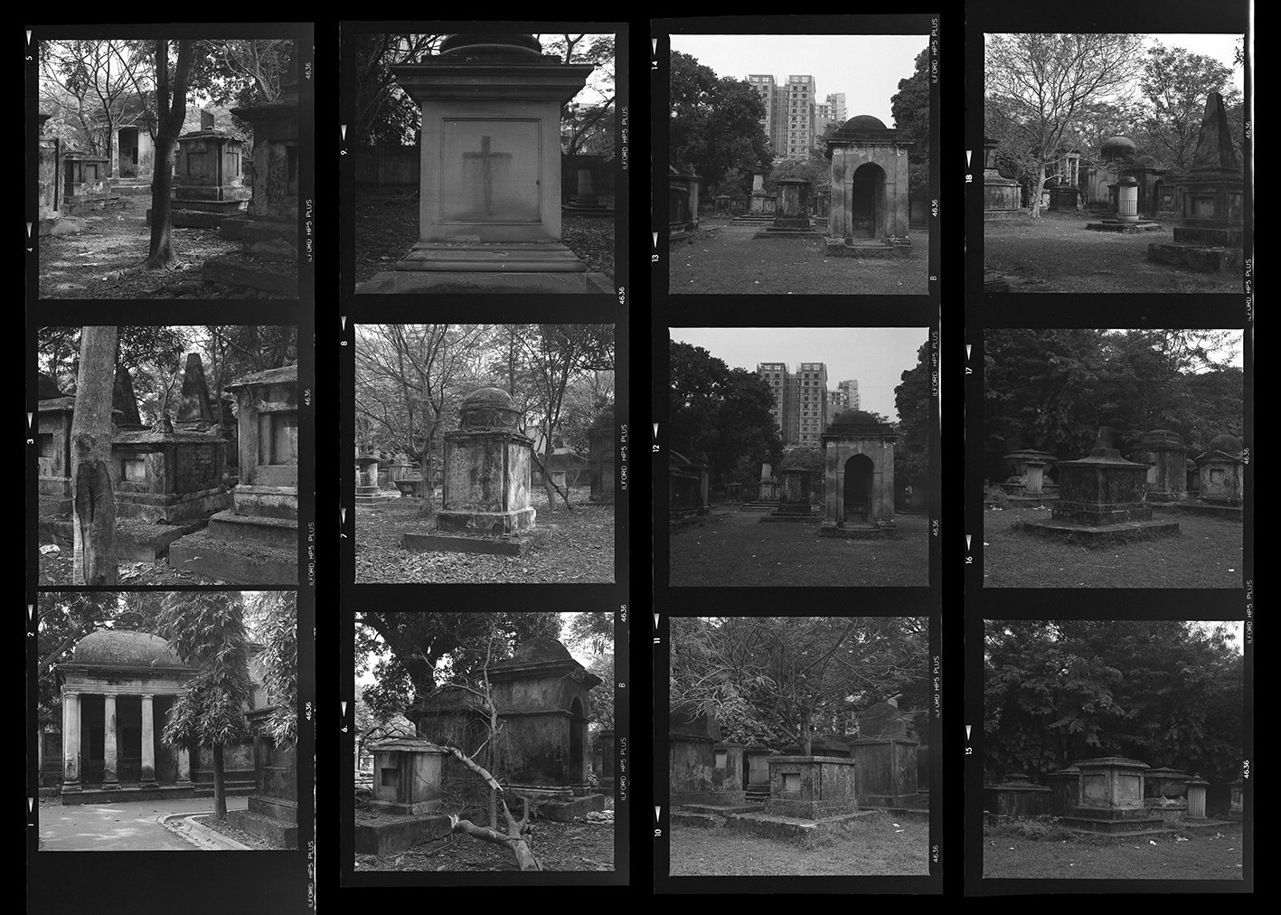 Contact Sheet - 4269_2.jpg