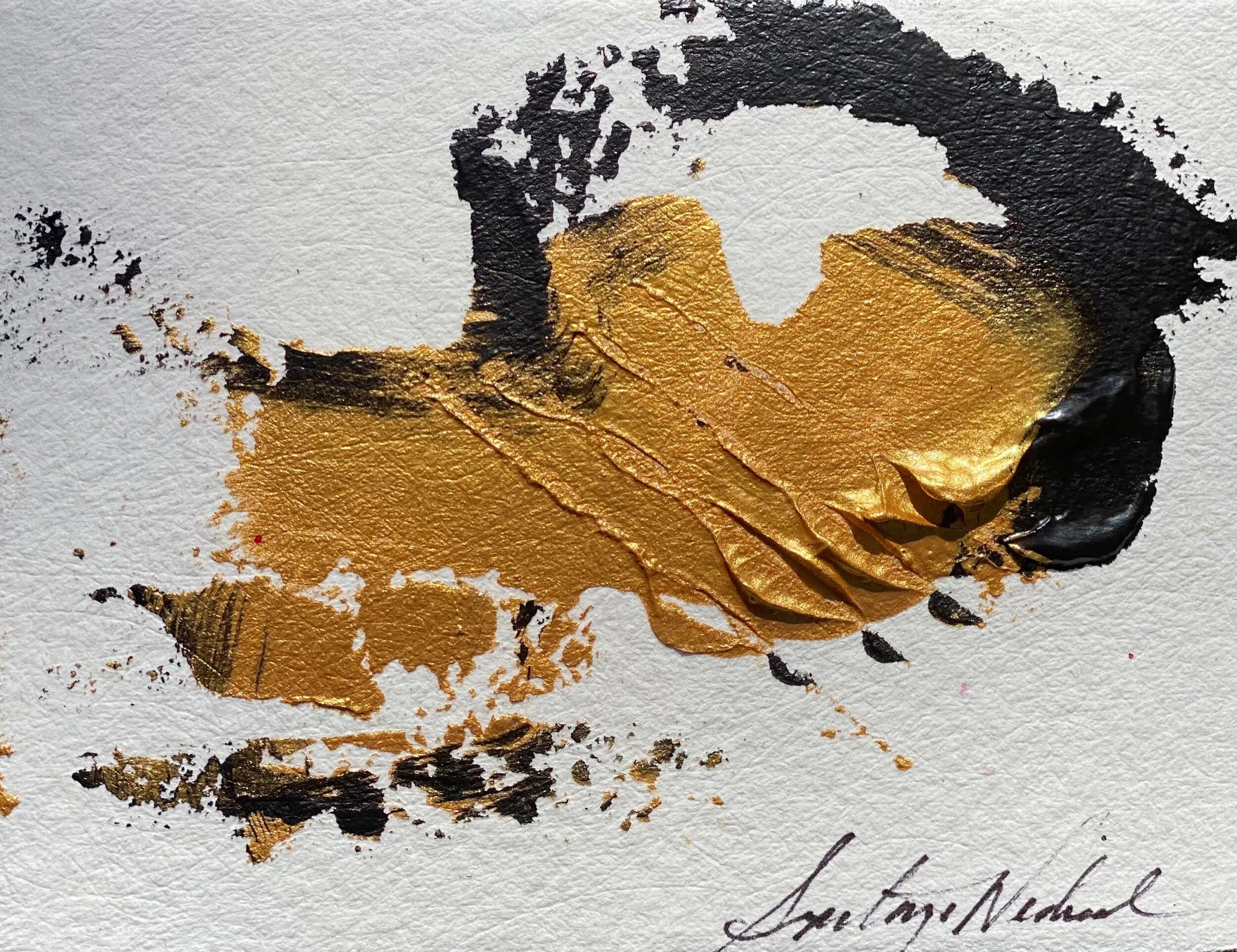 D283E905-06A7-4C86-B58E-7BABC5FD3D3B