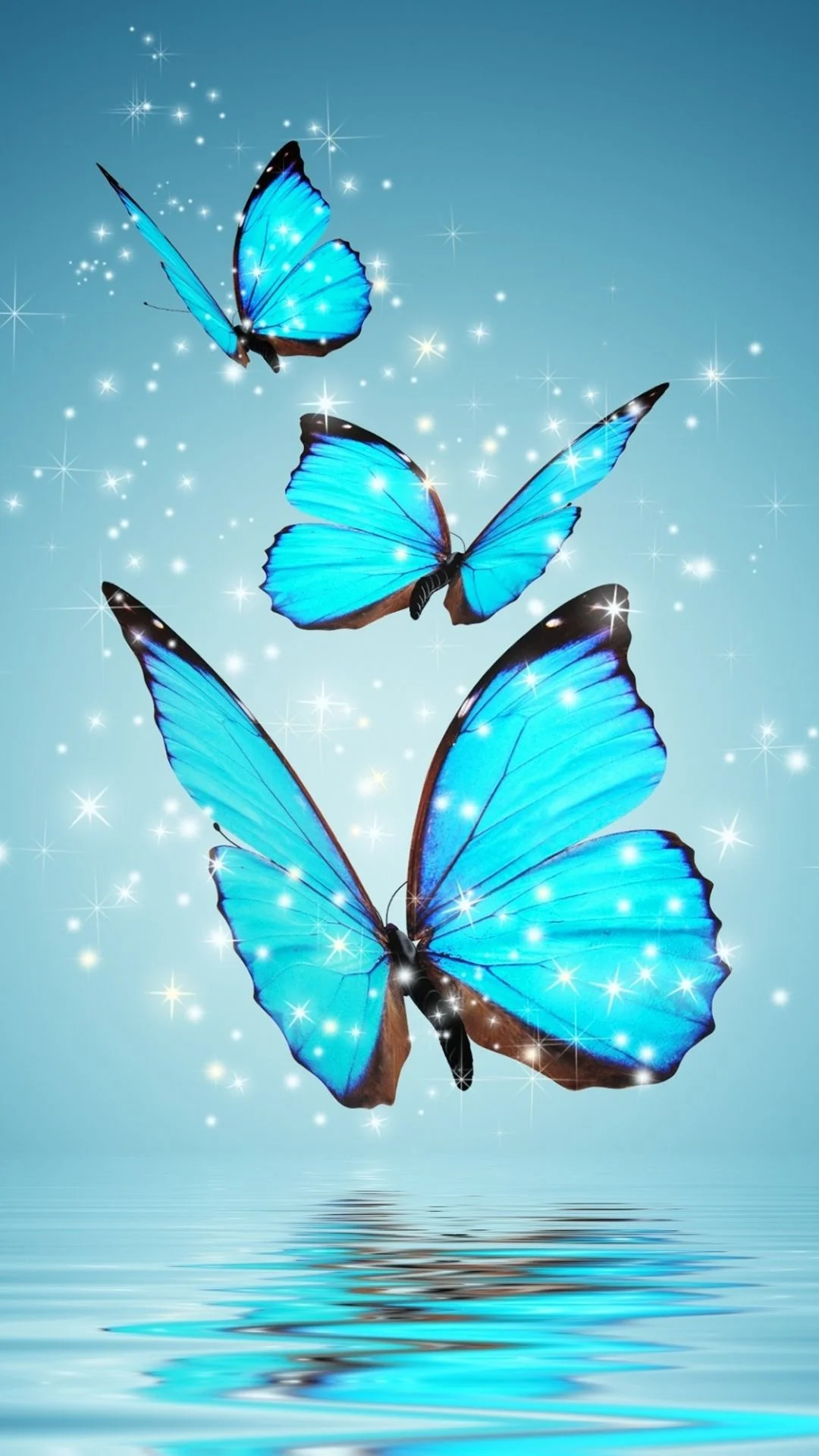 butterflies 5.jpg
