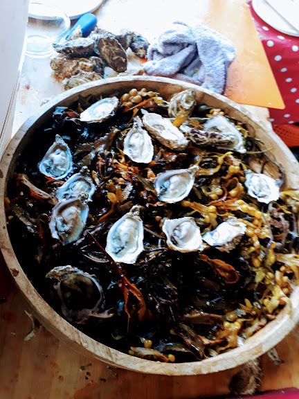Oysters.jpg