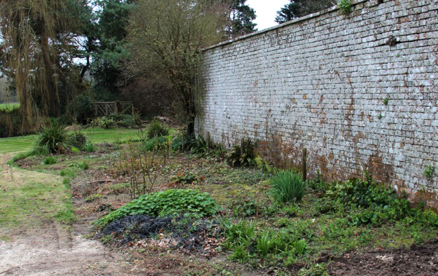 Herbaceous Border - Before