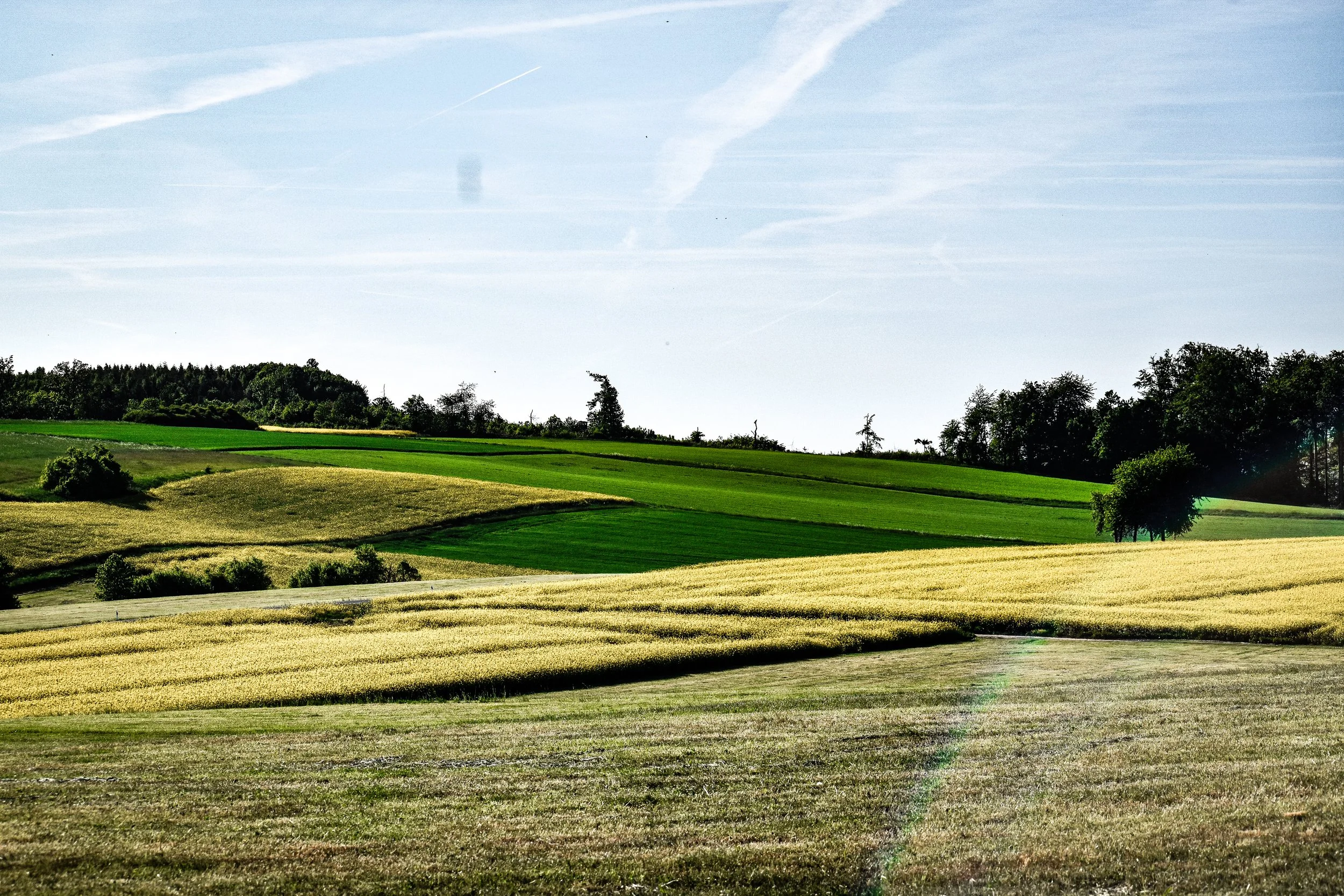 DSC_0184.jpeg