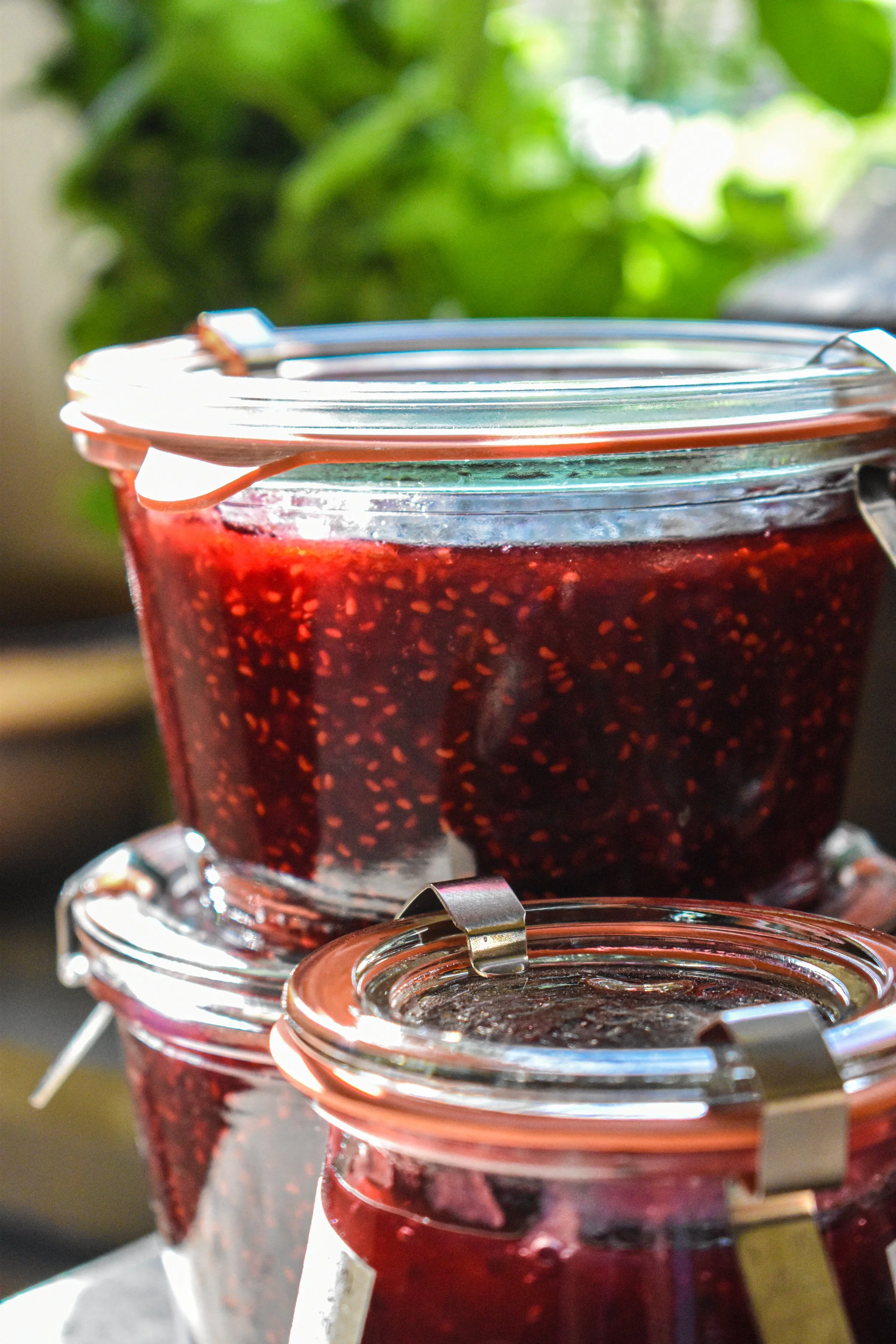 A Jam Session in Oma’s Kitchen: Fruit Preserve Recipes from the Garden
