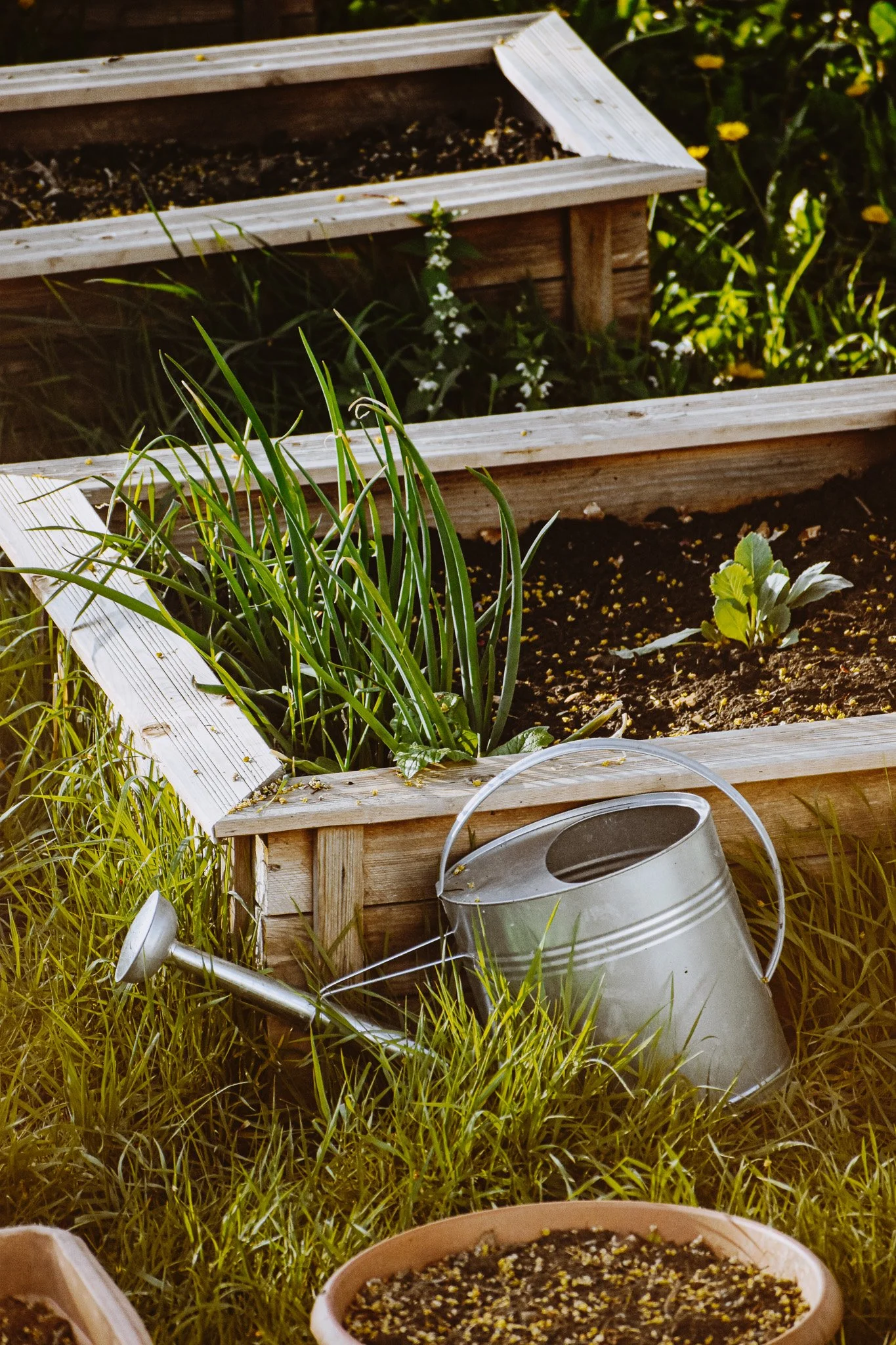 Farm Life Garden Life.jpg
