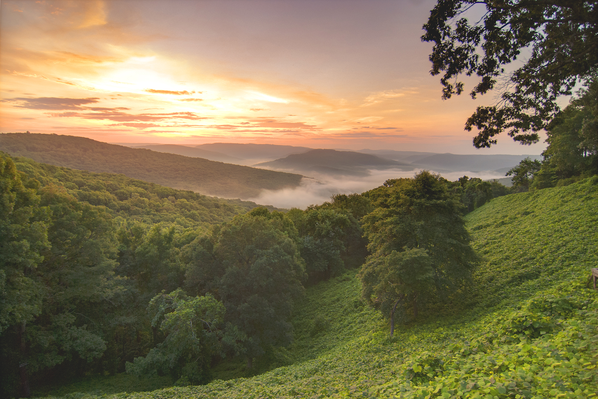 iStock-505535371.jpg