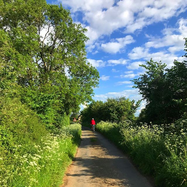 &ldquo;...and we felt like the envy of all the other tourists, as they were shepherded back onto their tour buses we glided up the hill at the speed of the Tour De France, minus the Lycra. Our only regret is not trying out electric bikes sooner!&rdqu