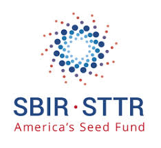 NSF SBIR Award II