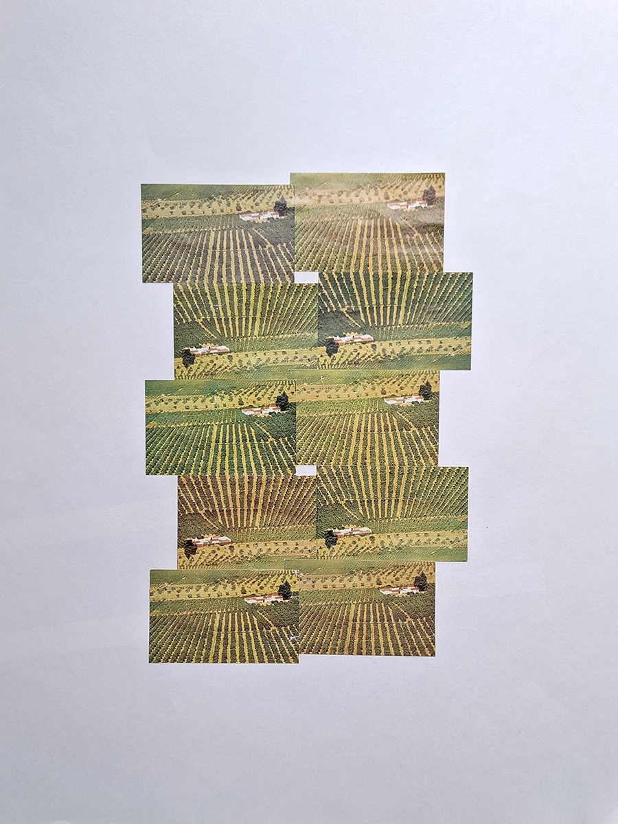 Plantages in Spanje Annelies Poppe.png