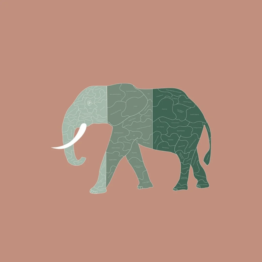 Introducing the new and updated ESG Elephant