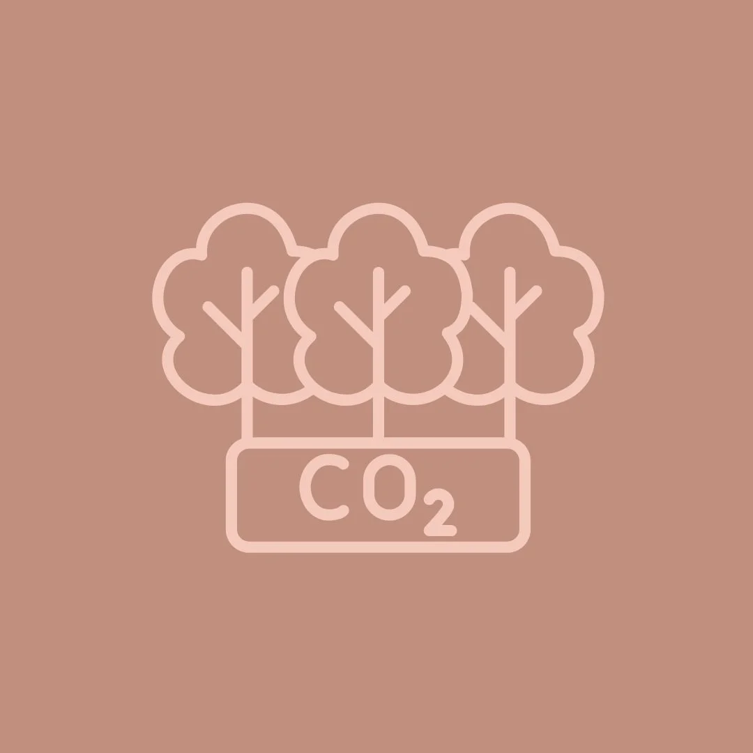 Carbon offsetting or carbon insetting?
