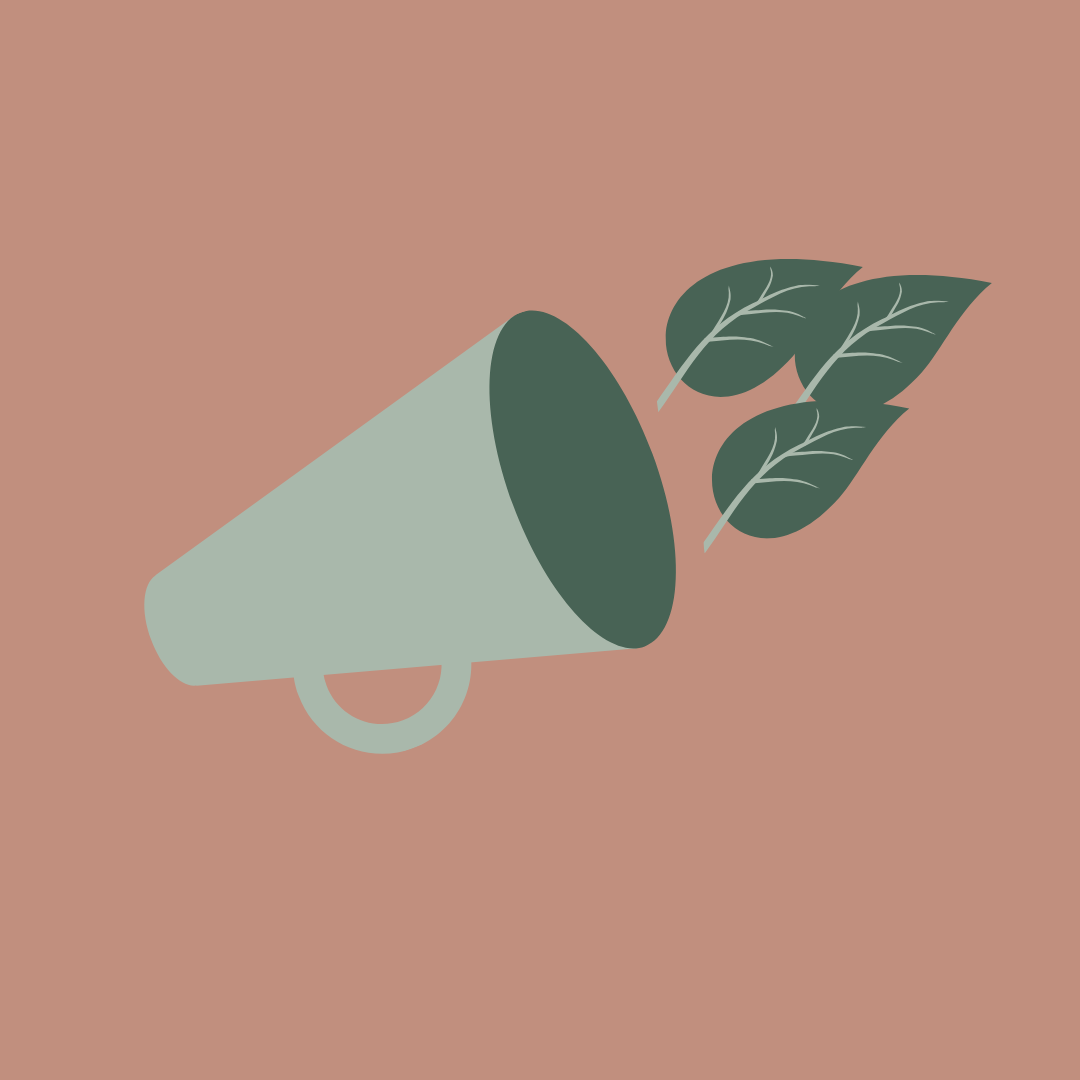 Afgørelser i sager om greenwashing