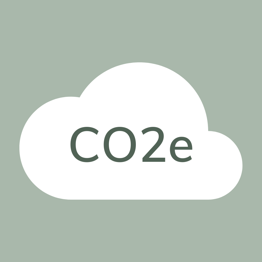 Dette er det vigtigste område i jeres CO2-regnskab