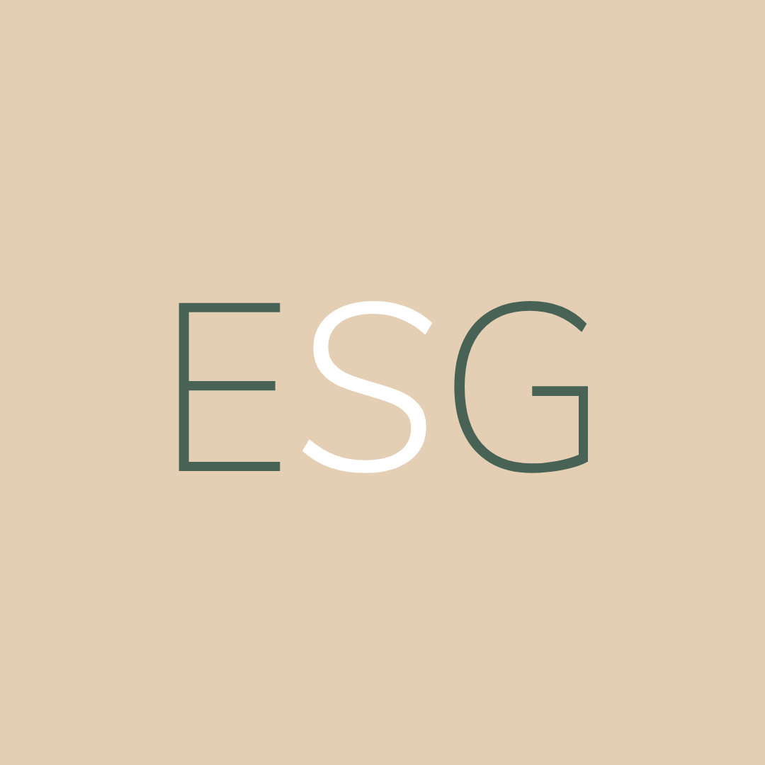 S'et i ESG: Social bæredygtighed og dens betydning