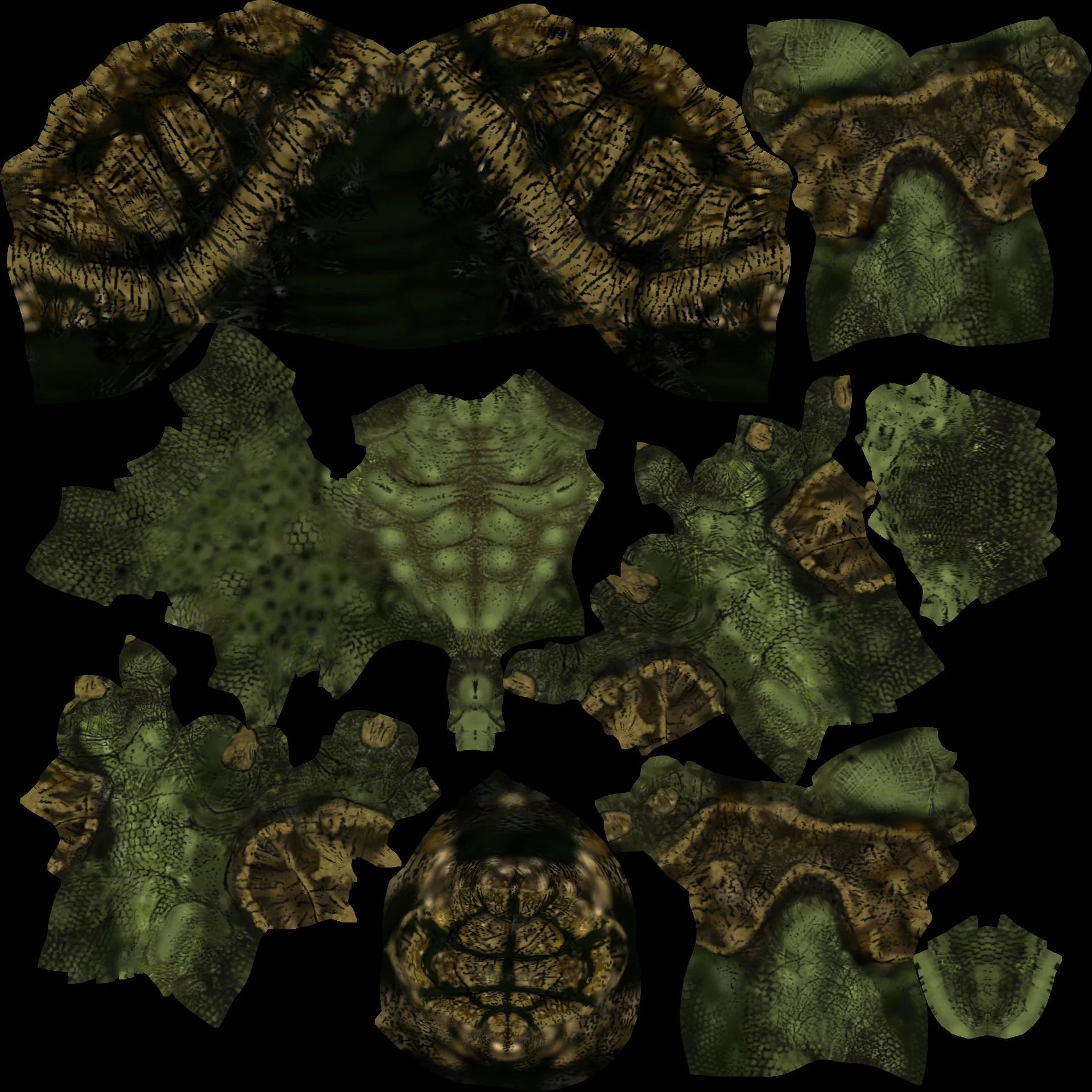 shane-duncan-turtlemonster10.jpg