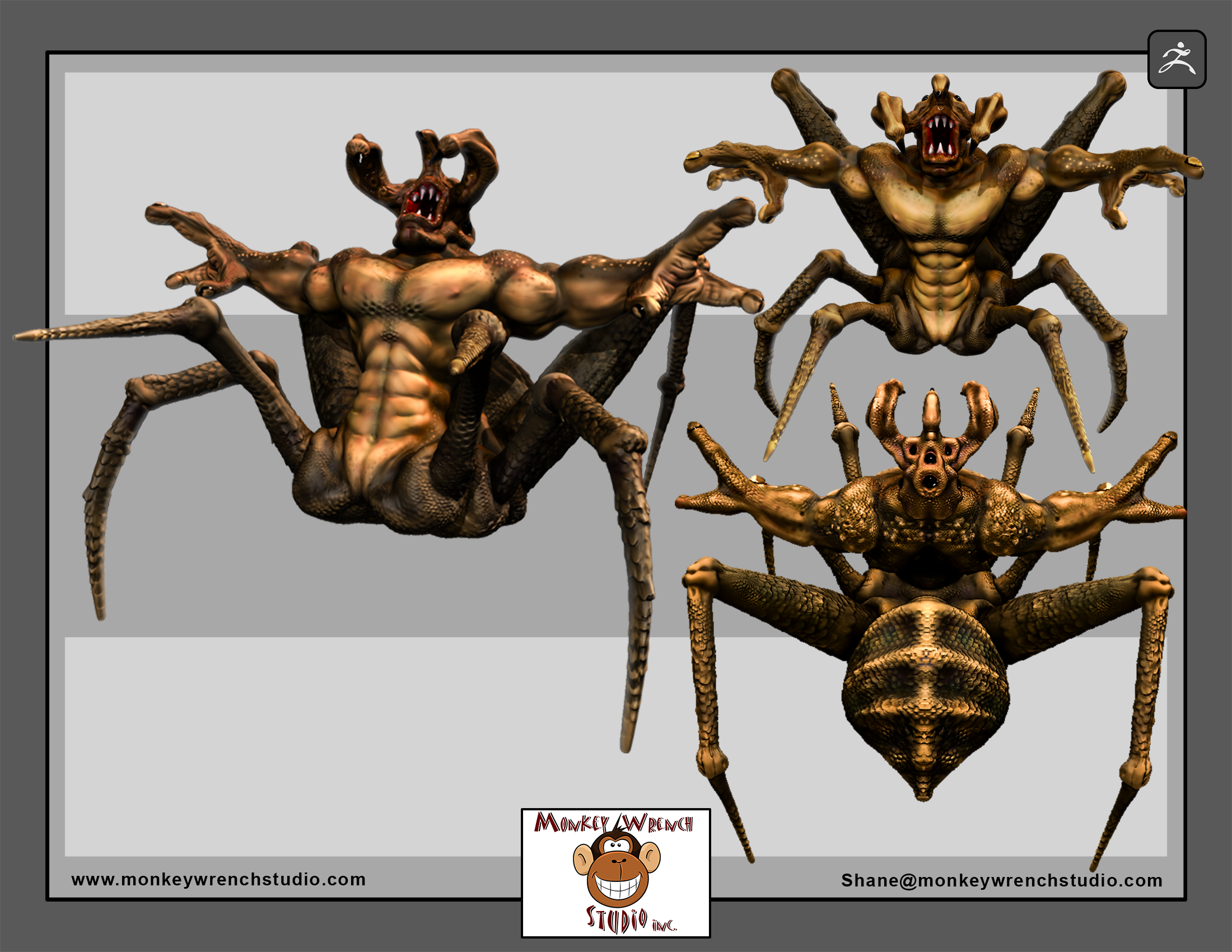 spider.png