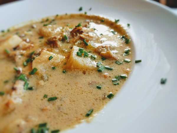 new_england_clam_chowder.jpeg