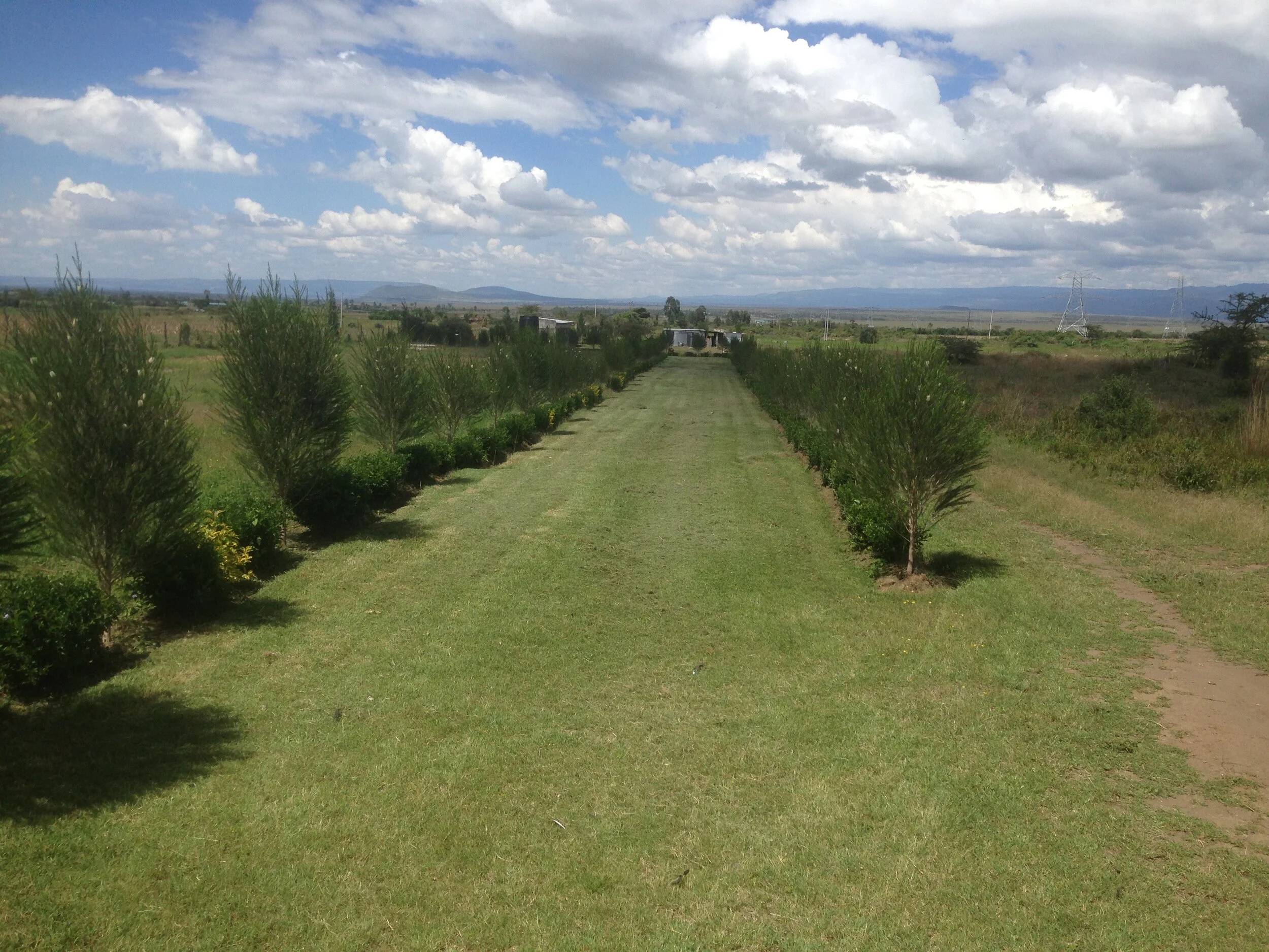Driveway to CrossPower Complex