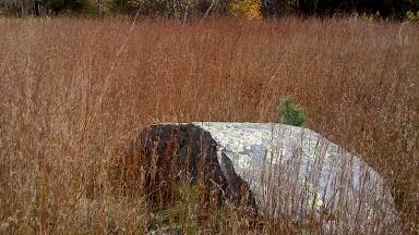 cedariver-meadow-rock.jpg