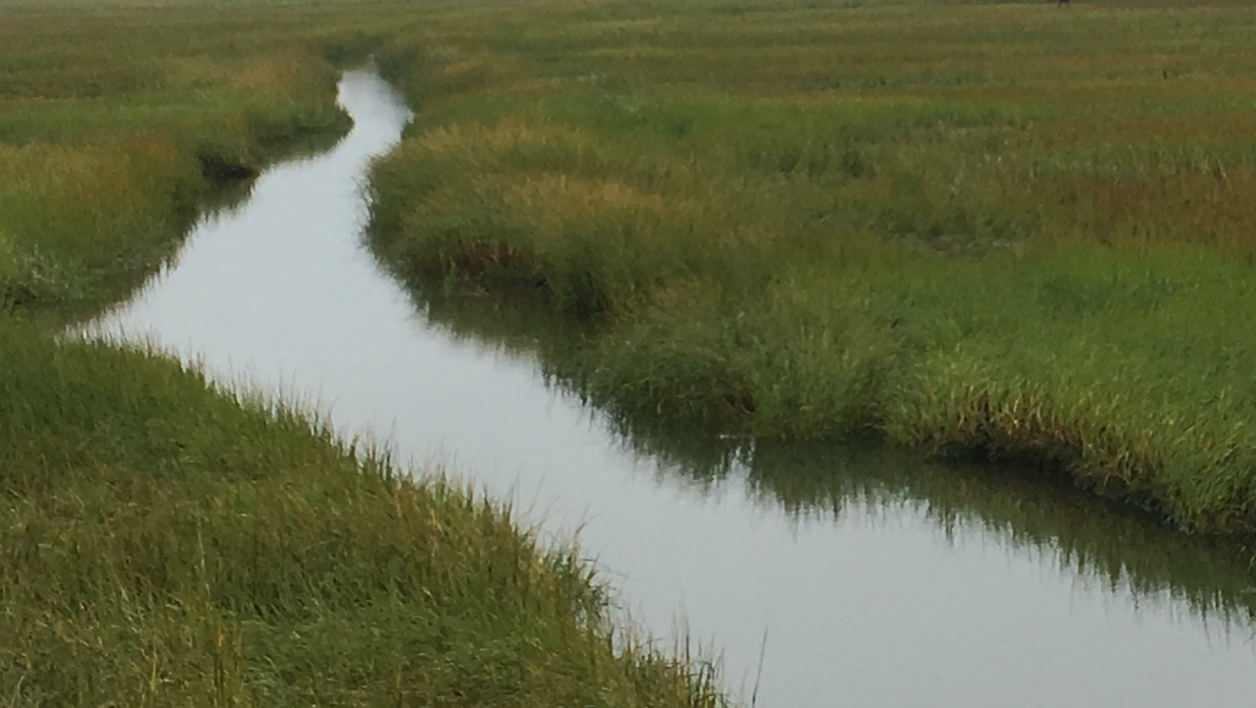 How green solutions can make our coast and harbors more resilient | Q&amp;A with The Trustees Director of Coast and Natural Resources, Tom O'Shea