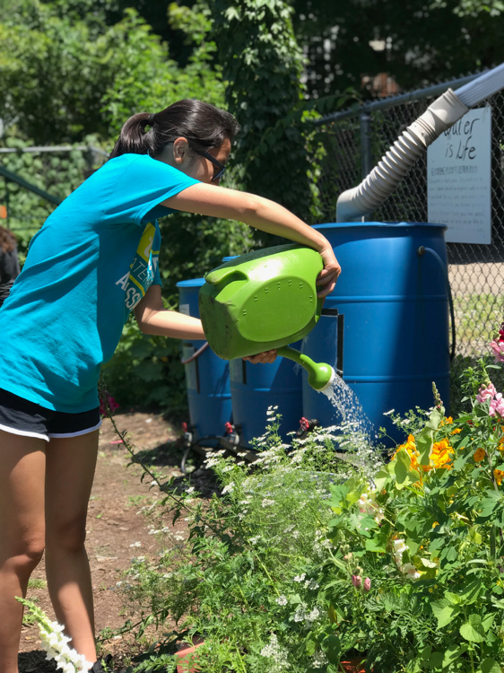 Jessica helped water the plants