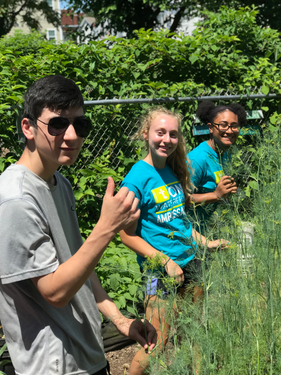 Left to right: Clifford, Julie and Emily harvested some dill and trimmed off the plant’s yellow flowers