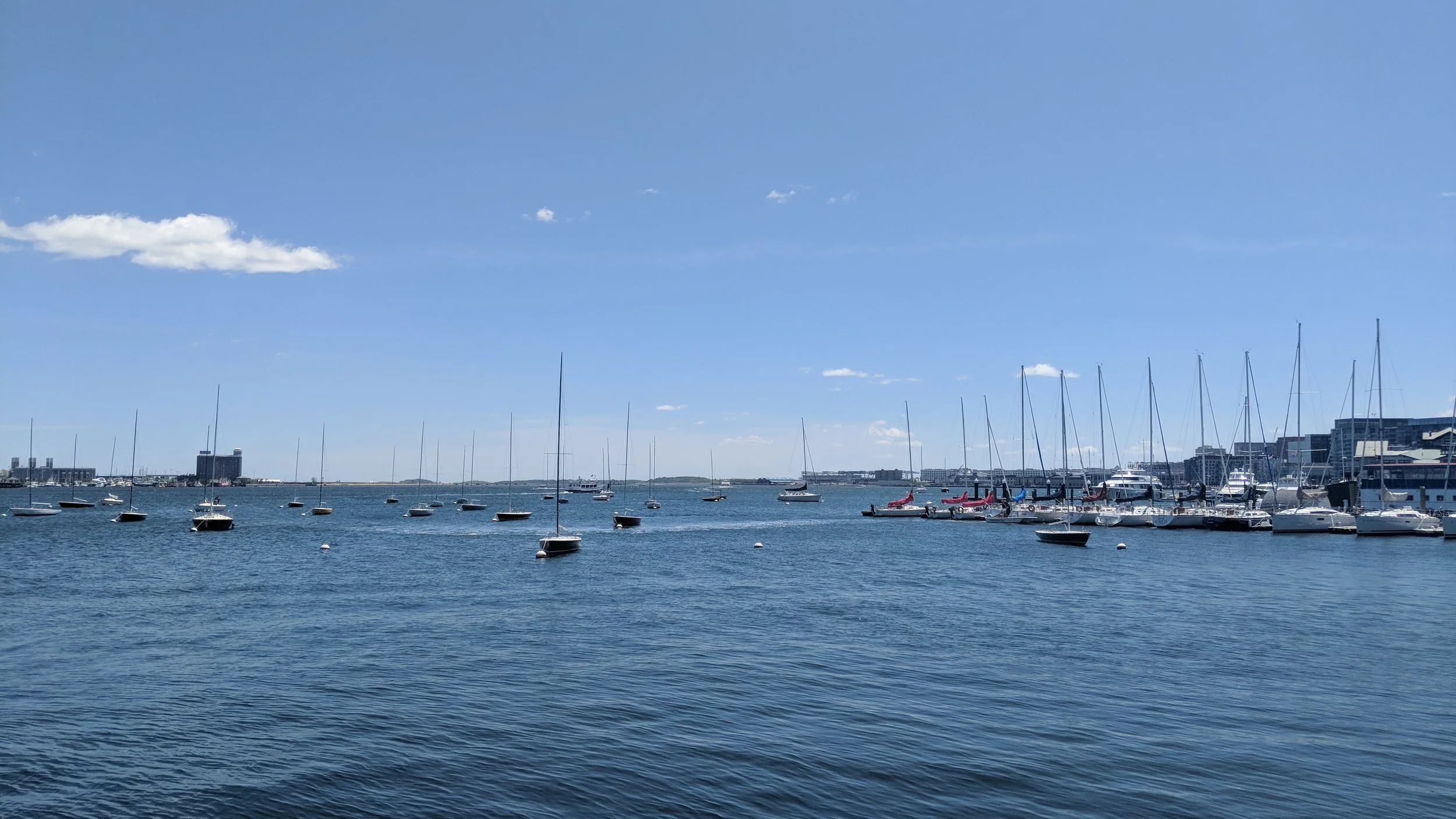 #WaterfrontViews: Life on the Waterfront 