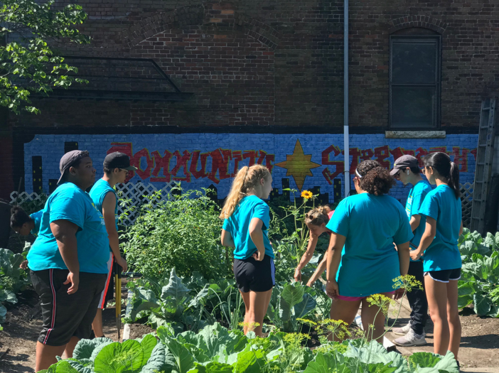 Jackie teaching the Ambassadors how to harvest the cauliflower.png