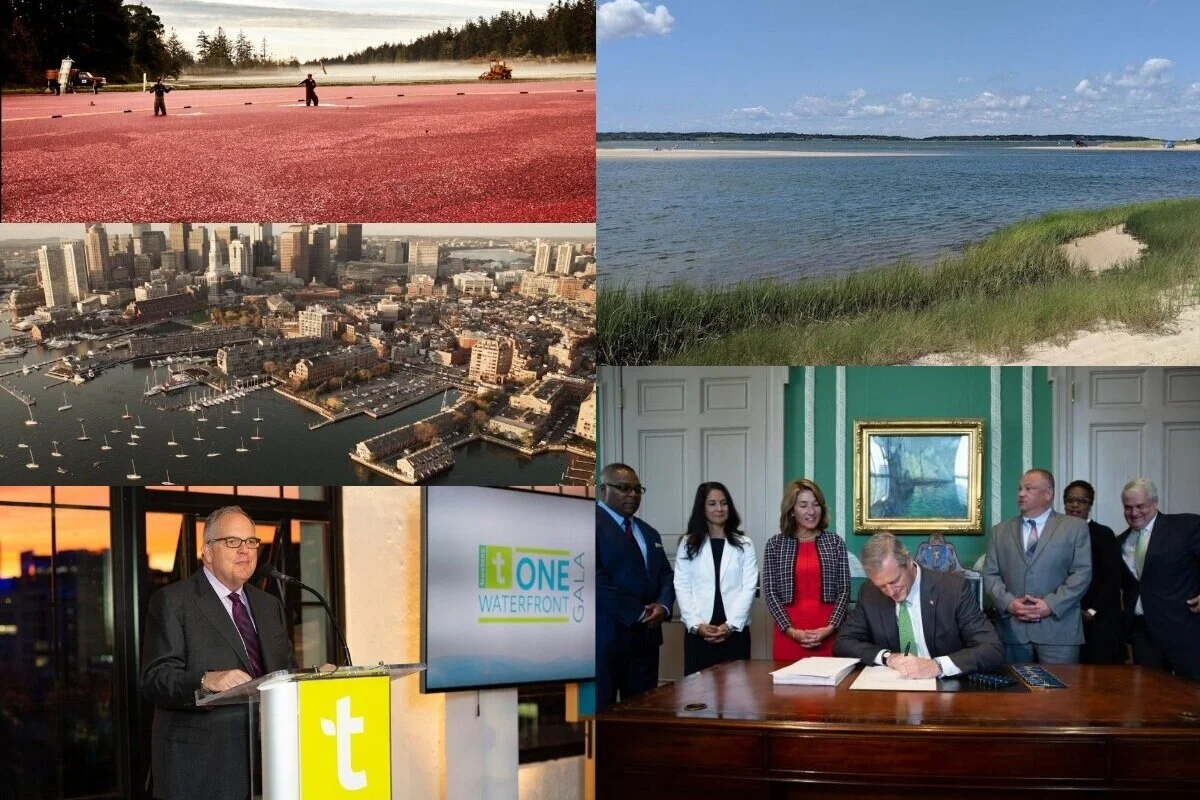 Sustainable and inclusive waterfront parks… adapting to a changing coast… and building community: A look at our most-read posts of 2019 