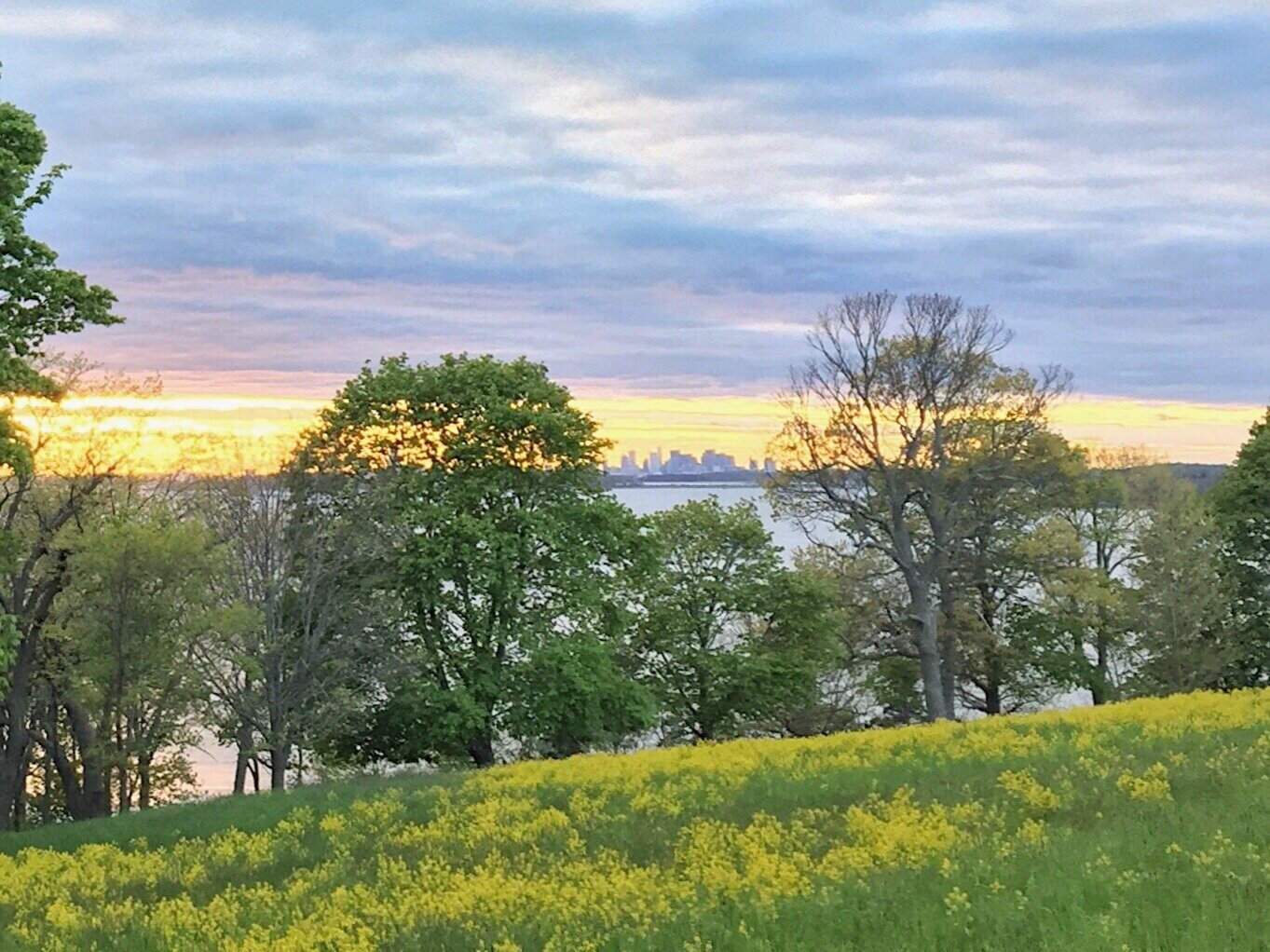 What we're reading this week | The #FridayFive