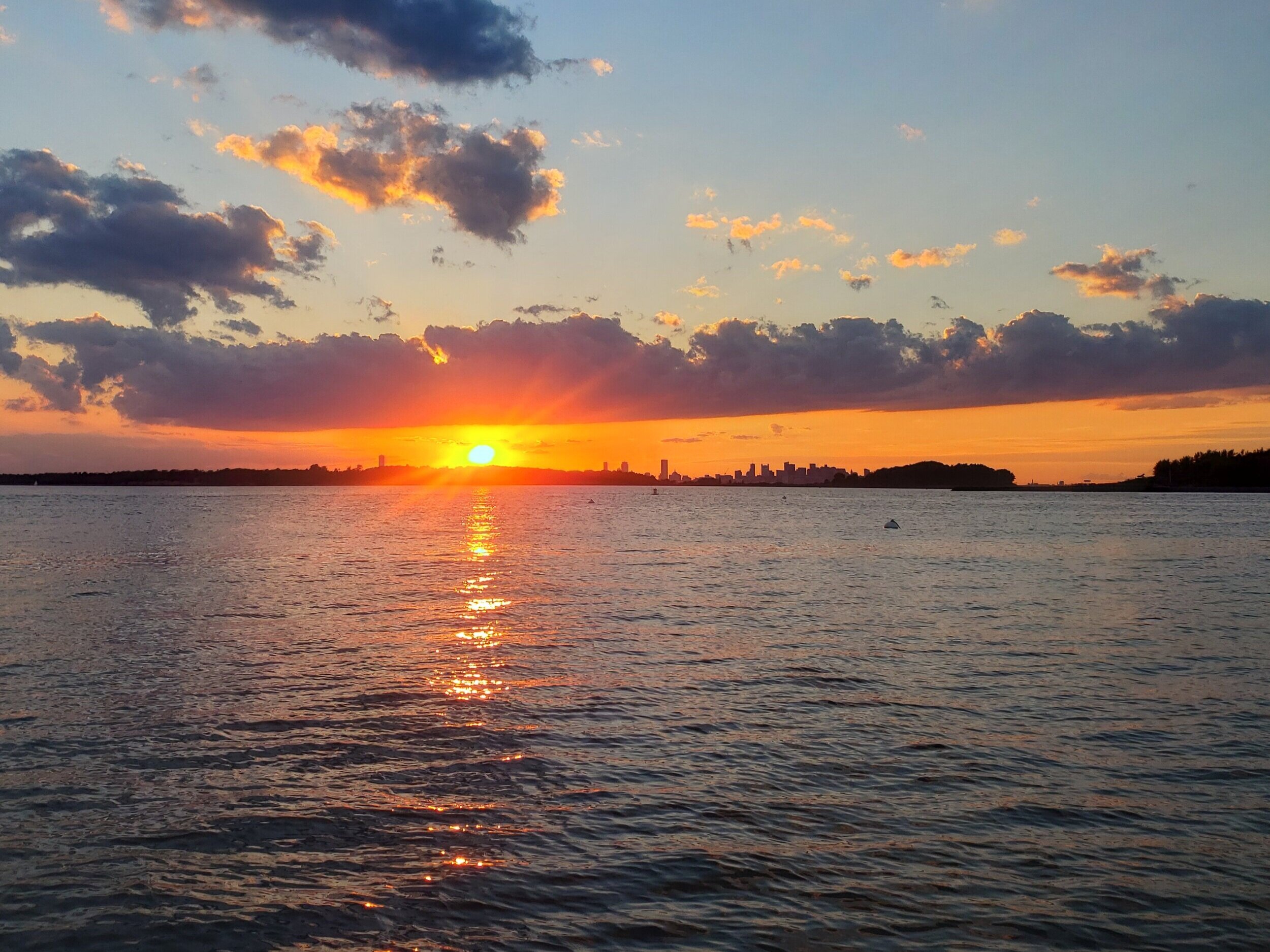 What we're reading this week | The #FridayFive