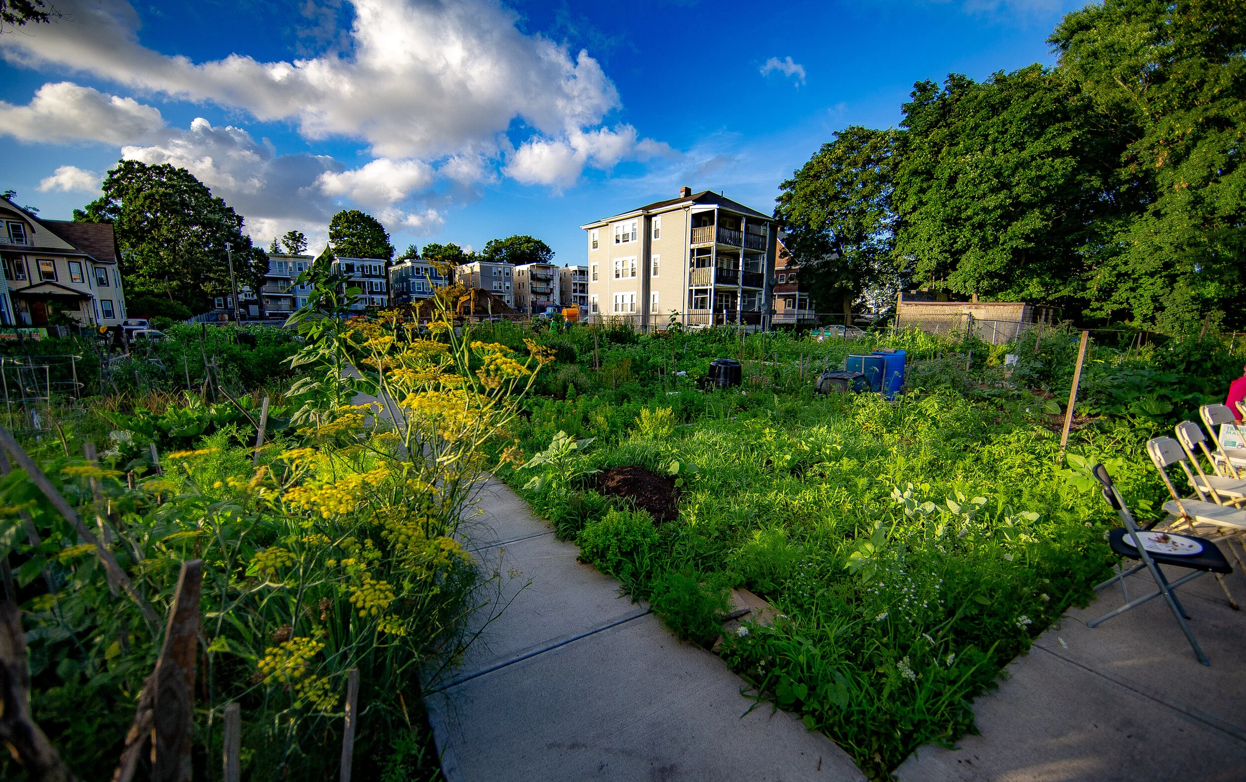 Trustees Boston Community Gardens hosting 45th Annual Gardeners Gathering, celebrating community, elevating culinary justice