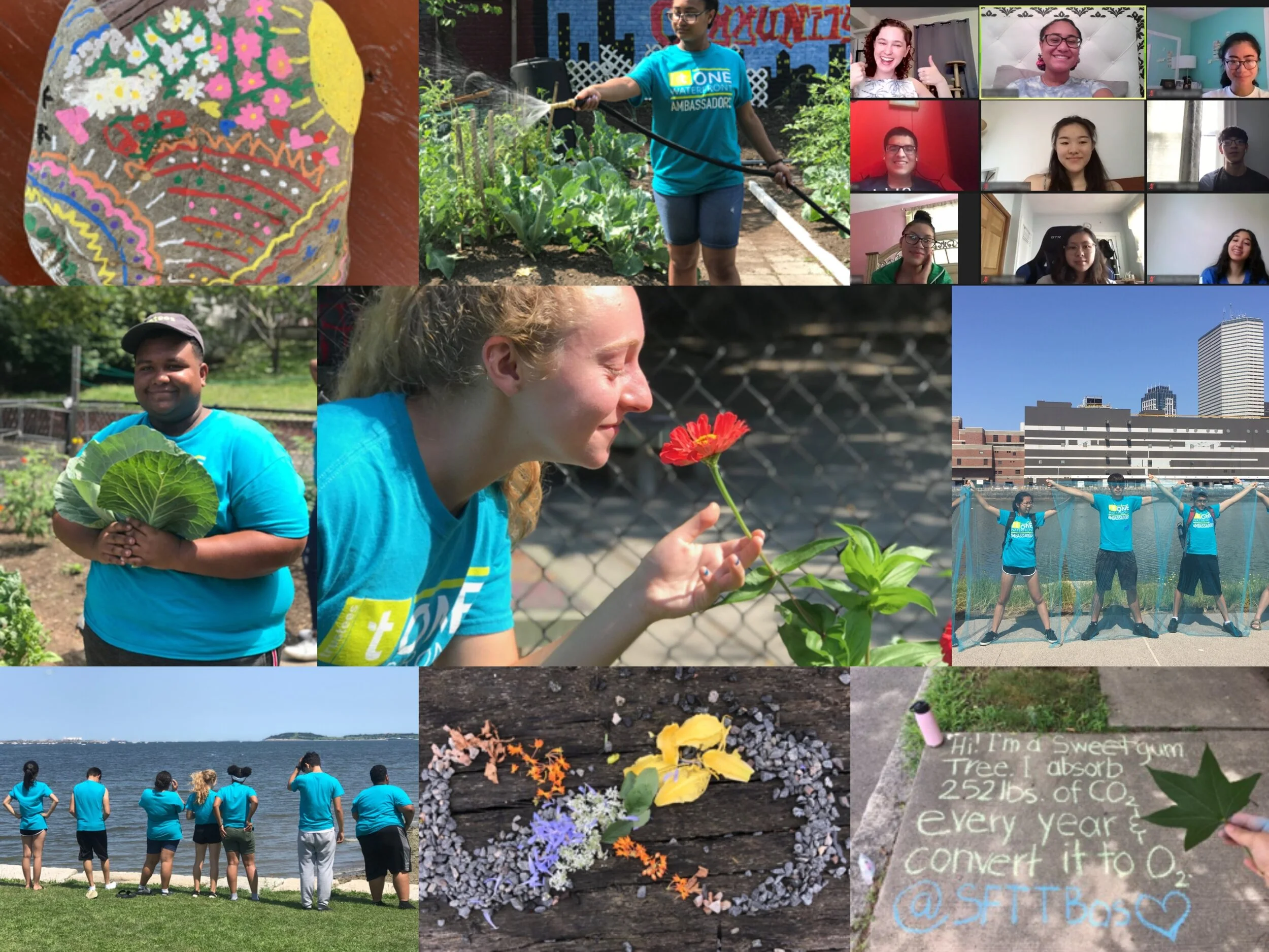 Waterfront Ambassadors returning in summer 2021: What's in store for this season