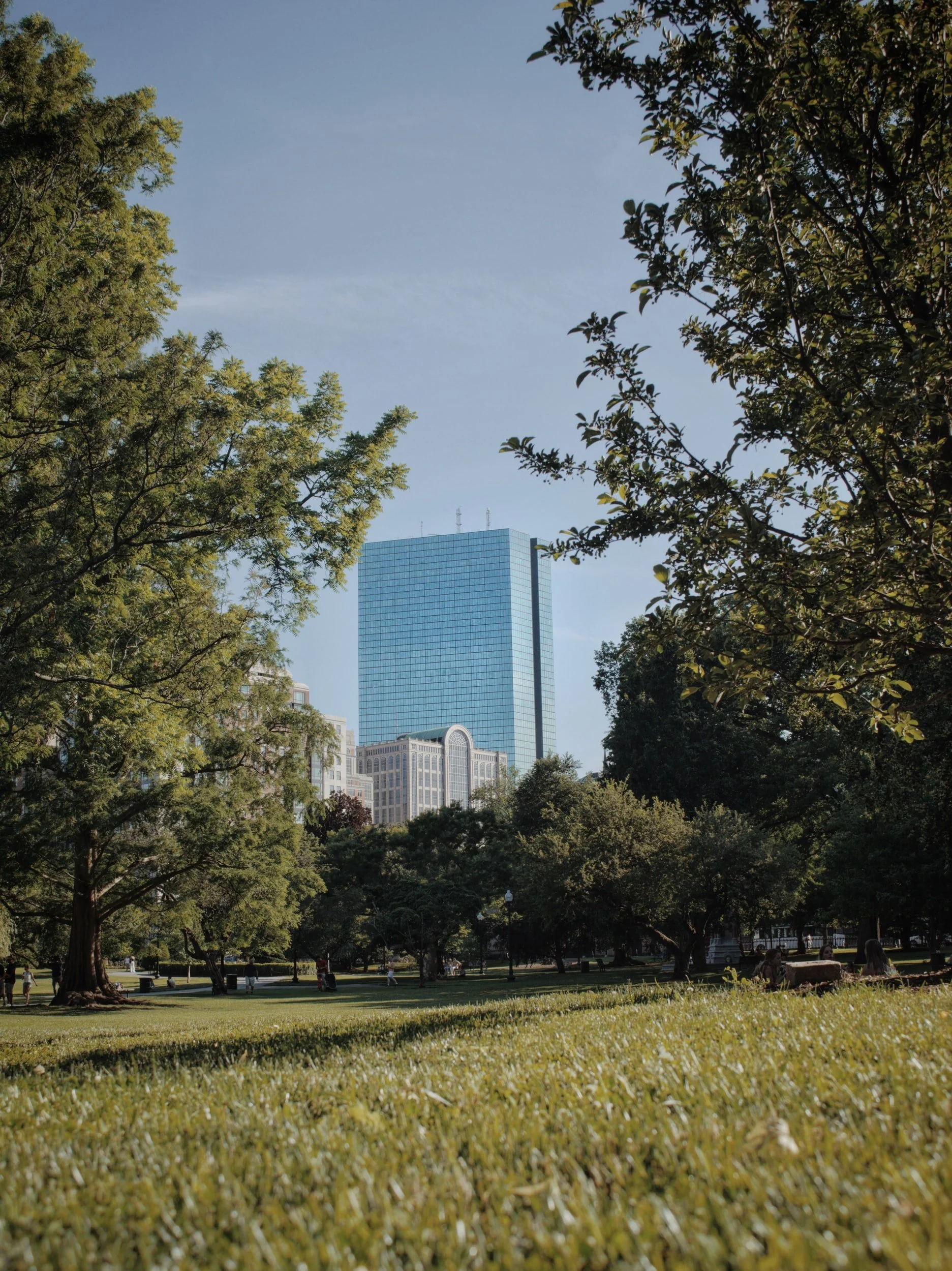 Preserving green spaces and improving urban walkability can help reduce loneliness, study finds 