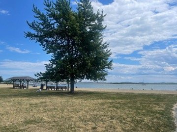 Pretty beach, some trees, and people enjoying the nice weather.jpg
