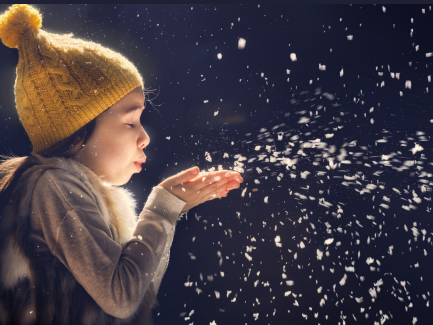 Nature Play Urbana East Boston Public Library