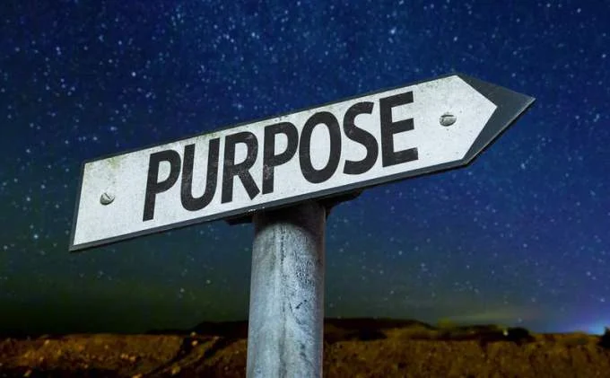 purpose2.jpg