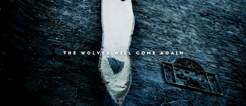 StarkBanner.gif