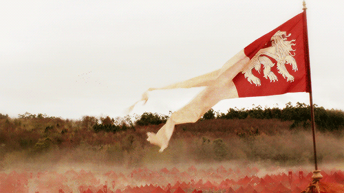 LanBanner.gif