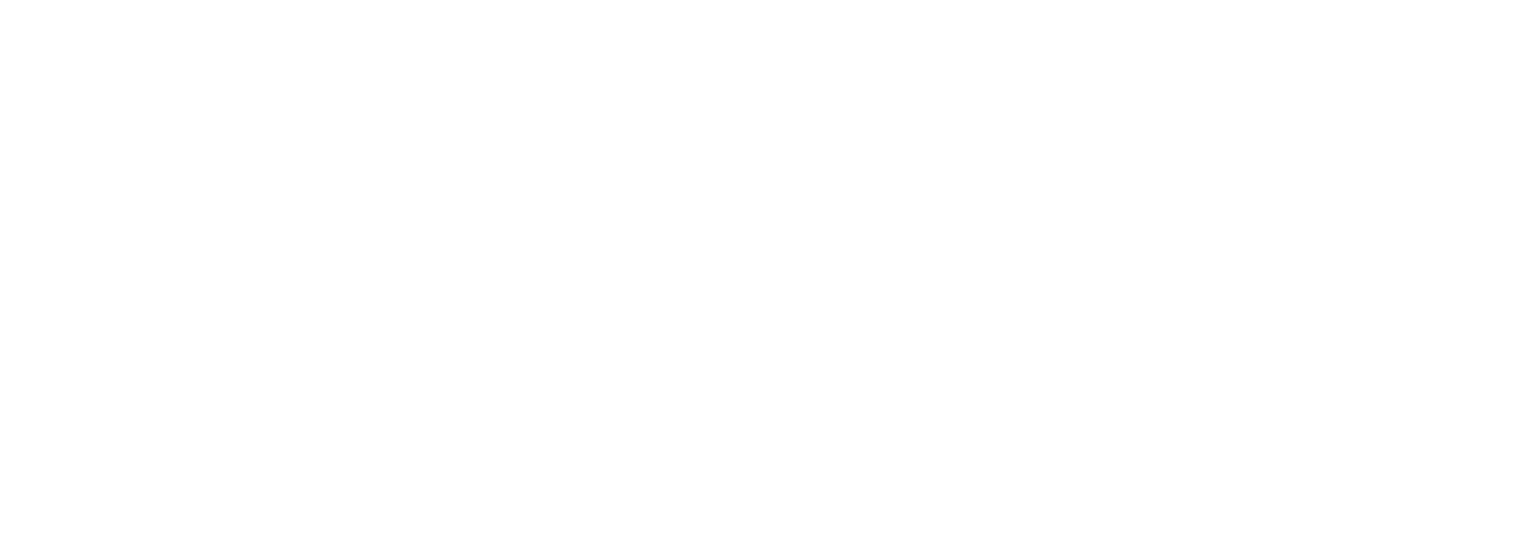 Logo white wide.png