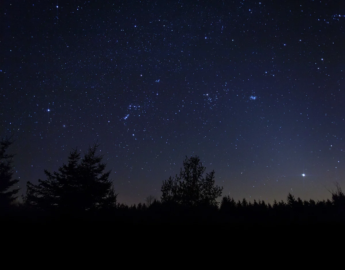 Stargazing