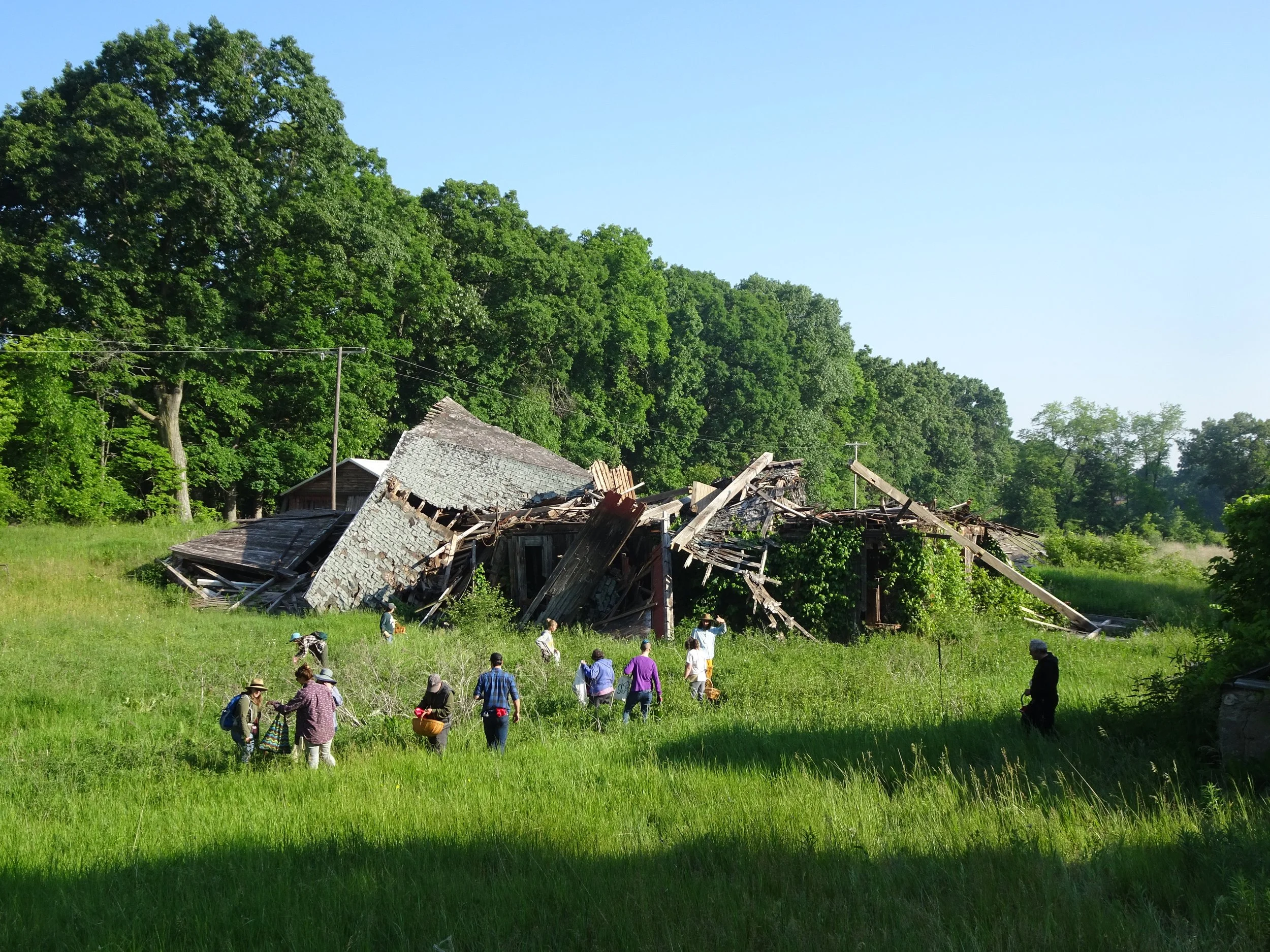 Wild Foods Walk
