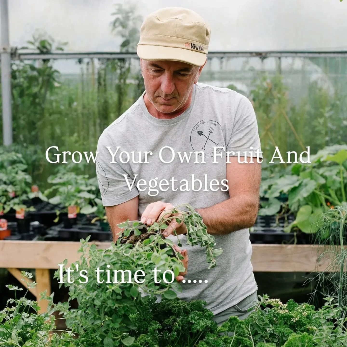 Following on nicely from posting about the latest update to the website,  Grow Your Own Fruit And Vegetables,  this gorgeous book is the perfect companion and inspiration! 
Mark Diacano's writing is thoughtful, very funny and packed with fantastic re