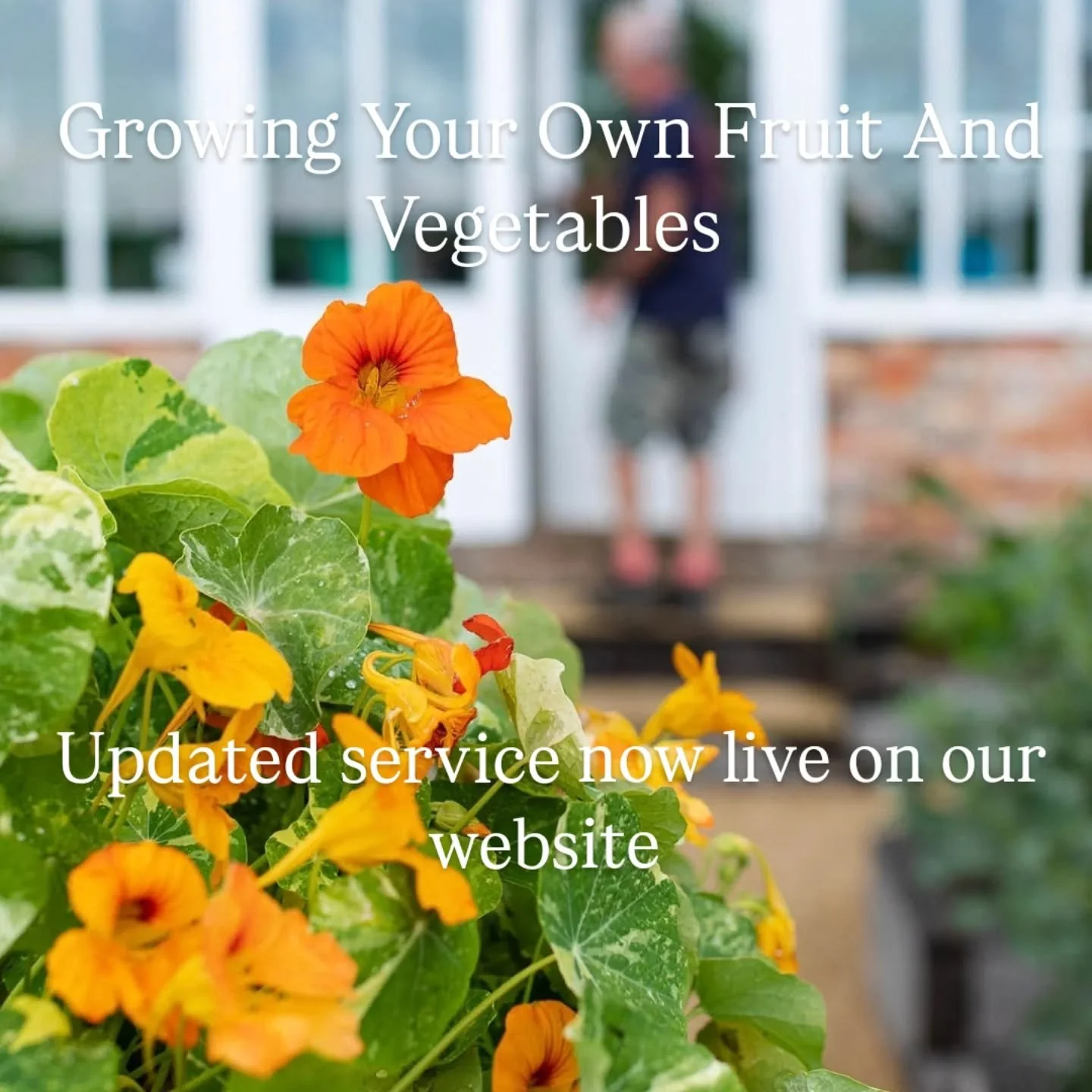 Want to grow your own produce but don't know where to start? We can help! Take a look at our updated Grow Your Own Fruit And Vegetables section on our website, and then get in touch.