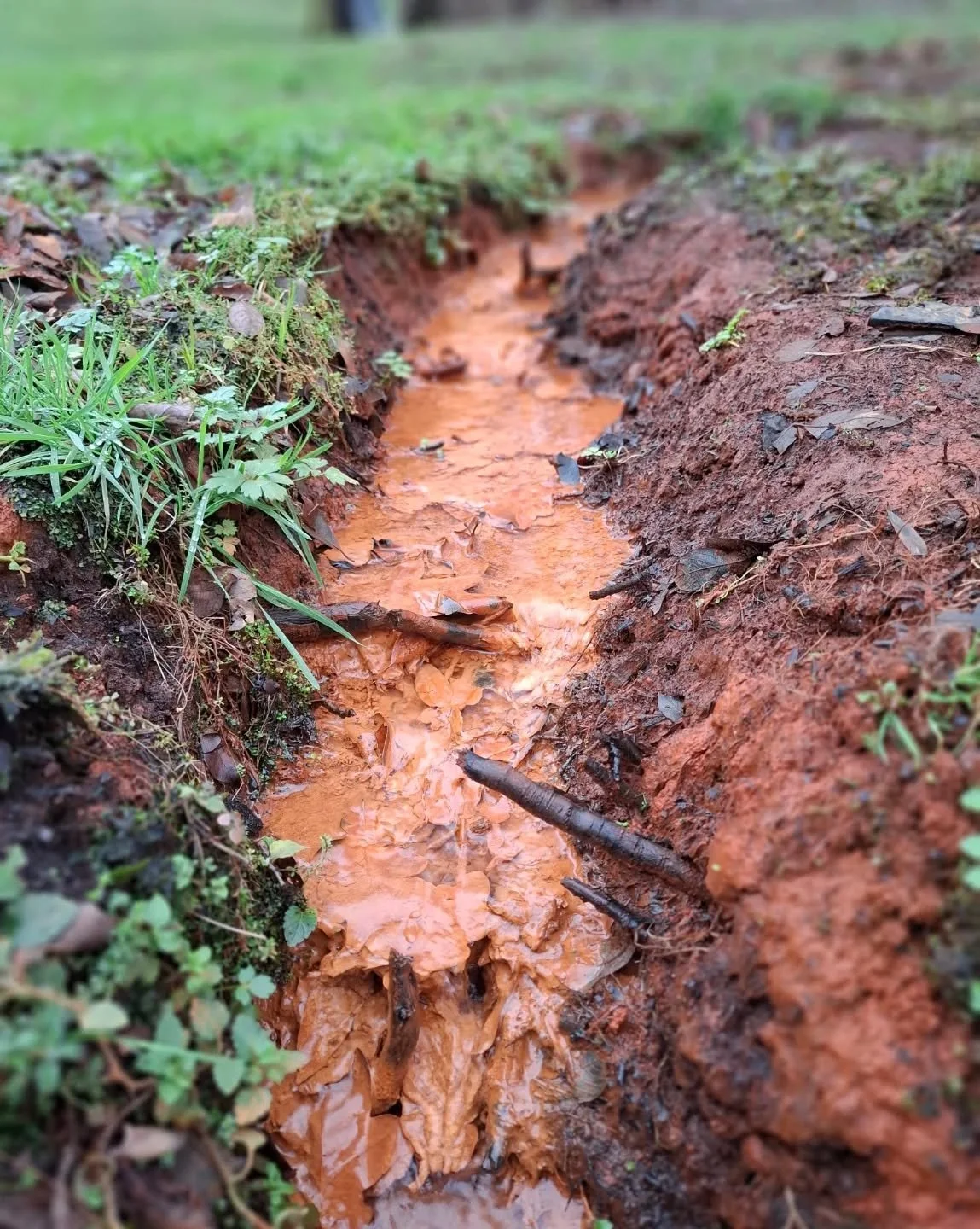 There be iron in them there hills!! Stream running full off iron just south of Cuckfield. It grew wealthy from the 16th to 18th centuries as a result of the natural resource. Evidence of coppiced sweet chestnut and an adjoining area called Kiln Wood 